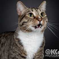 Thumbnail photo of Larry #2