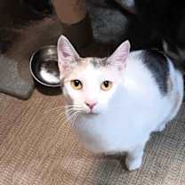 Thumbnail photo of Layna #2