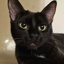 Thumbnail photo of Madeline #1