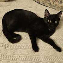 Thumbnail photo of Madeline #2