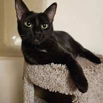 Thumbnail photo of Madeline #3