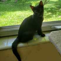Thumbnail photo of Madeline #4