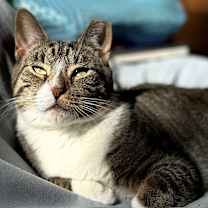 Thumbnail photo of Holly Berry (I'm in foster care!) #1
