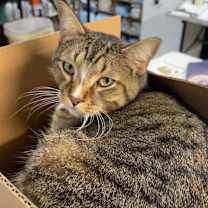 Thumbnail photo of TOBY #2