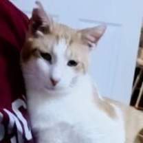 Thumbnail photo of Marty (male) #1