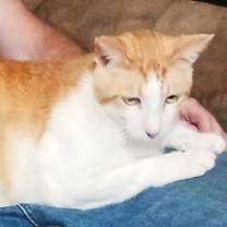 Thumbnail photo of Marty (male) #3