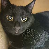 Thumbnail photo of Rocket #2
