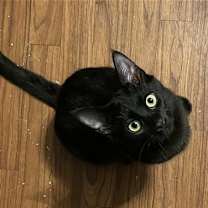 Thumbnail photo of Rocket #3
