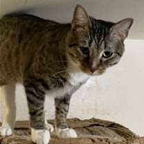 Thumbnail photo of Larry #4