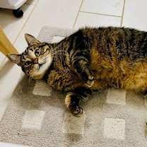Thumbnail photo of Whiskey #2