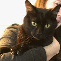 Thumbnail photo of Maya #2