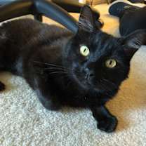 Thumbnail photo of Maya #3