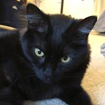 Thumbnail photo of Maya #4