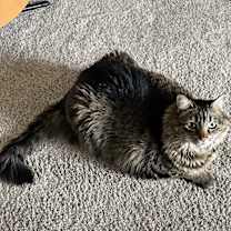 Thumbnail photo of Ginny #1