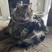 Thumbnail photo of Ginny #2
