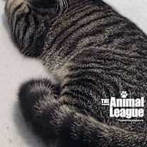Thumbnail photo of Ballantine #1