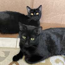 Thumbnail photo of Wilma & Sadie #2