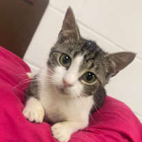 Thumbnail photo of Spooky #3