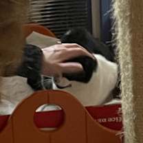 Thumbnail photo of Amy #2
