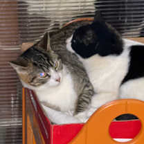 Thumbnail photo of Amy #3