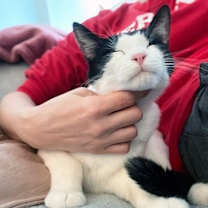 Thumbnail photo of Pip #2