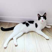 Thumbnail photo of Pip #3