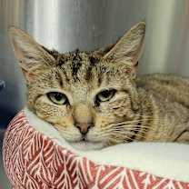 Thumbnail photo of Jennifur #1