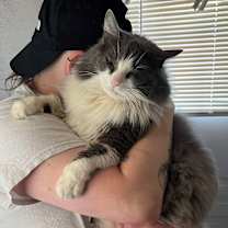 Thumbnail photo of Mellow #2