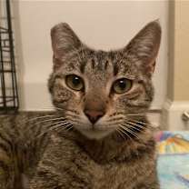 Thumbnail photo of DAISY #1