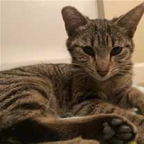 Thumbnail photo of DAISY #3
