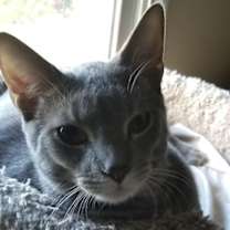 Thumbnail photo of Casper #1