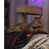 Thumbnail photo of Juniper #1