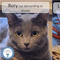 Thumbnail photo of Rory & Lorelai #1