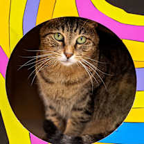 Thumbnail photo of Prince #1