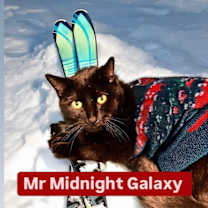 Thumbnail photo of Mr Midnight Galaxy at Martinez PFE      March 29th #3