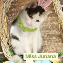 Thumbnail photo of Miss Junana at Martinez Pet Food Express  April 26 #2