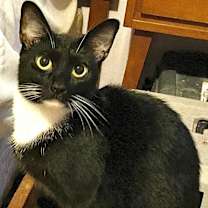 Thumbnail photo of Tally #1