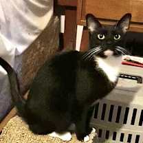 Thumbnail photo of Tally #3