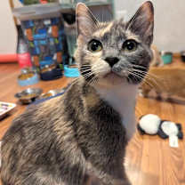 Thumbnail photo of Camille #2