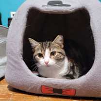 Thumbnail photo of Crystal #2