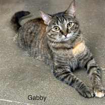 Thumbnail photo of Gabriella #1