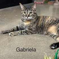 Thumbnail photo of Gabriella #2