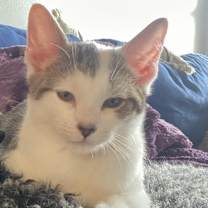 Thumbnail photo of Simone #2