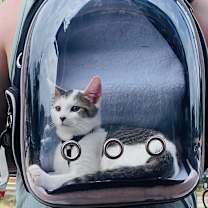 Thumbnail photo of Simone #1