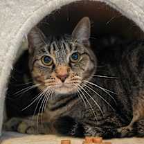 Thumbnail photo of Jax #1