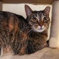 Thumbnail photo of Carly #1