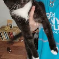 Thumbnail photo of Joanie #4