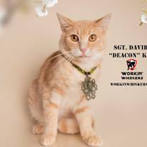 Thumbnail photo of SERGEANT DAVID "DEACON" KAY #1