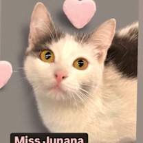 Thumbnail photo of Miss Junana at Martinez Pet Food Express  April 26 #3