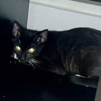 Thumbnail photo of Zora #3